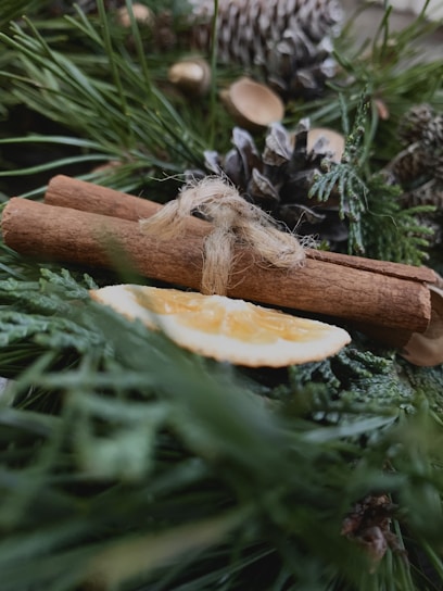 A composition of natural elements includes cinnamon sticks tied with twine, a slice of dried orange, pinecones, and pine branches. The focus is on texture and warm, earthy tones, creating a rustic and aromatic feel.