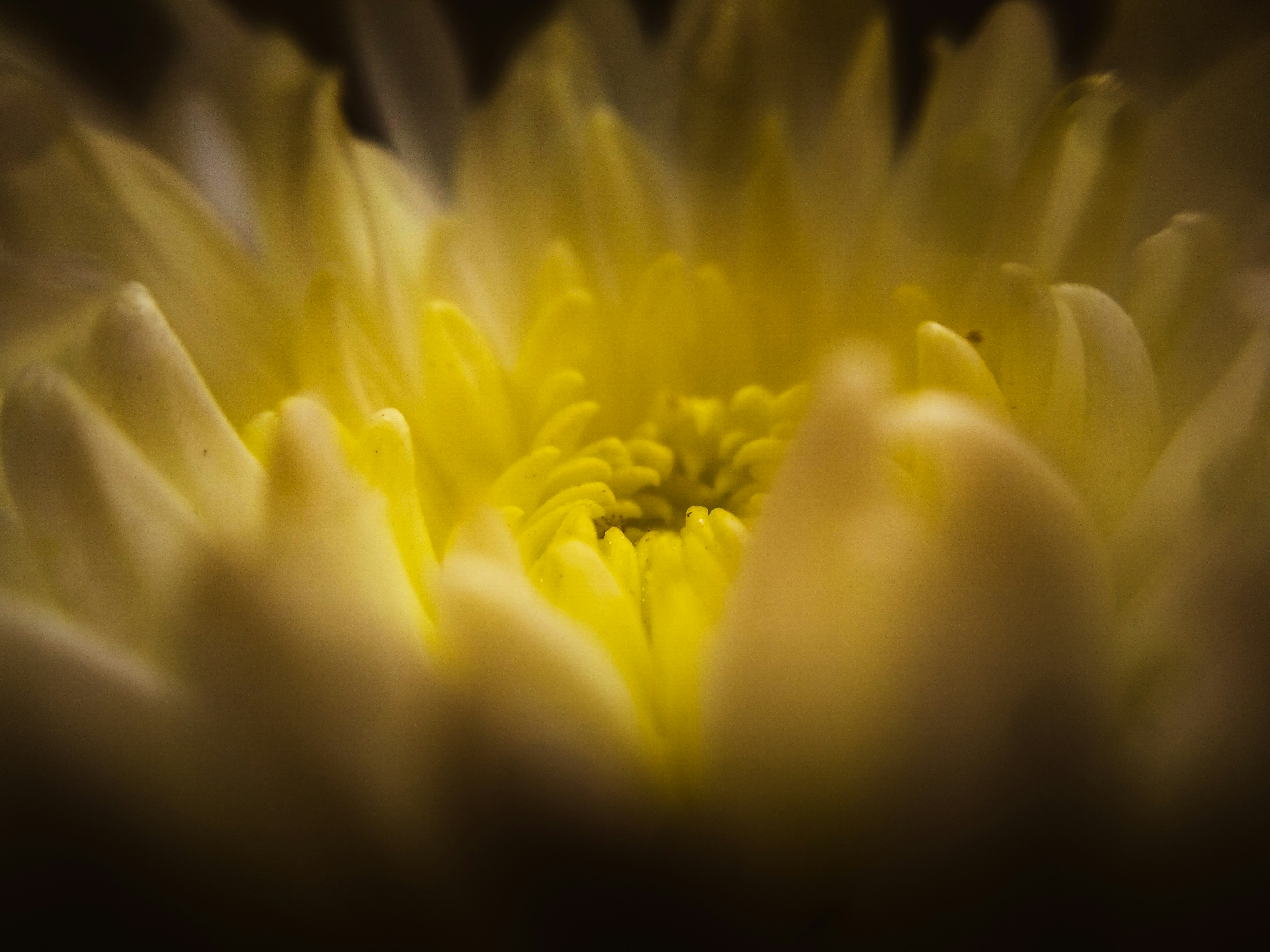 Photo by abhijeetk829