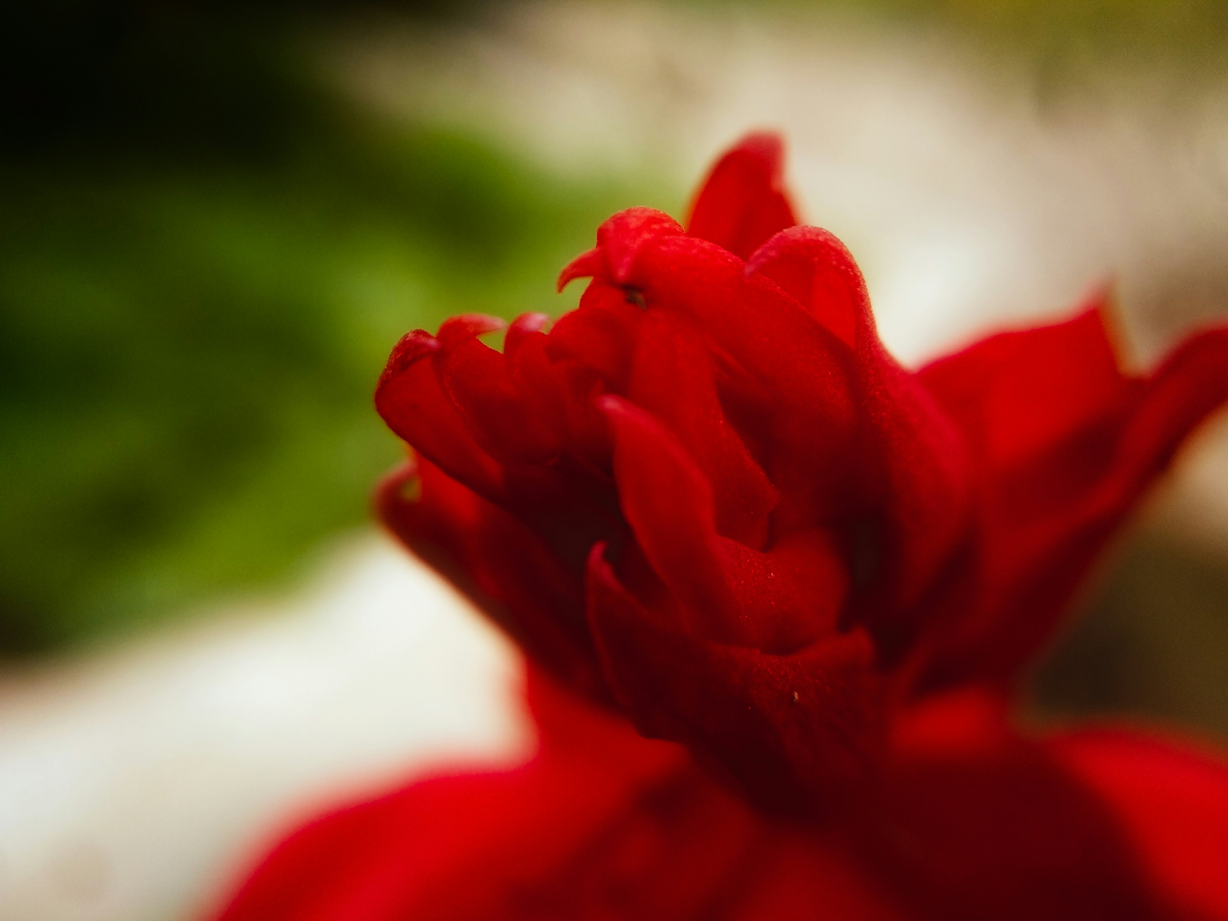 Photo by abhijeetk829