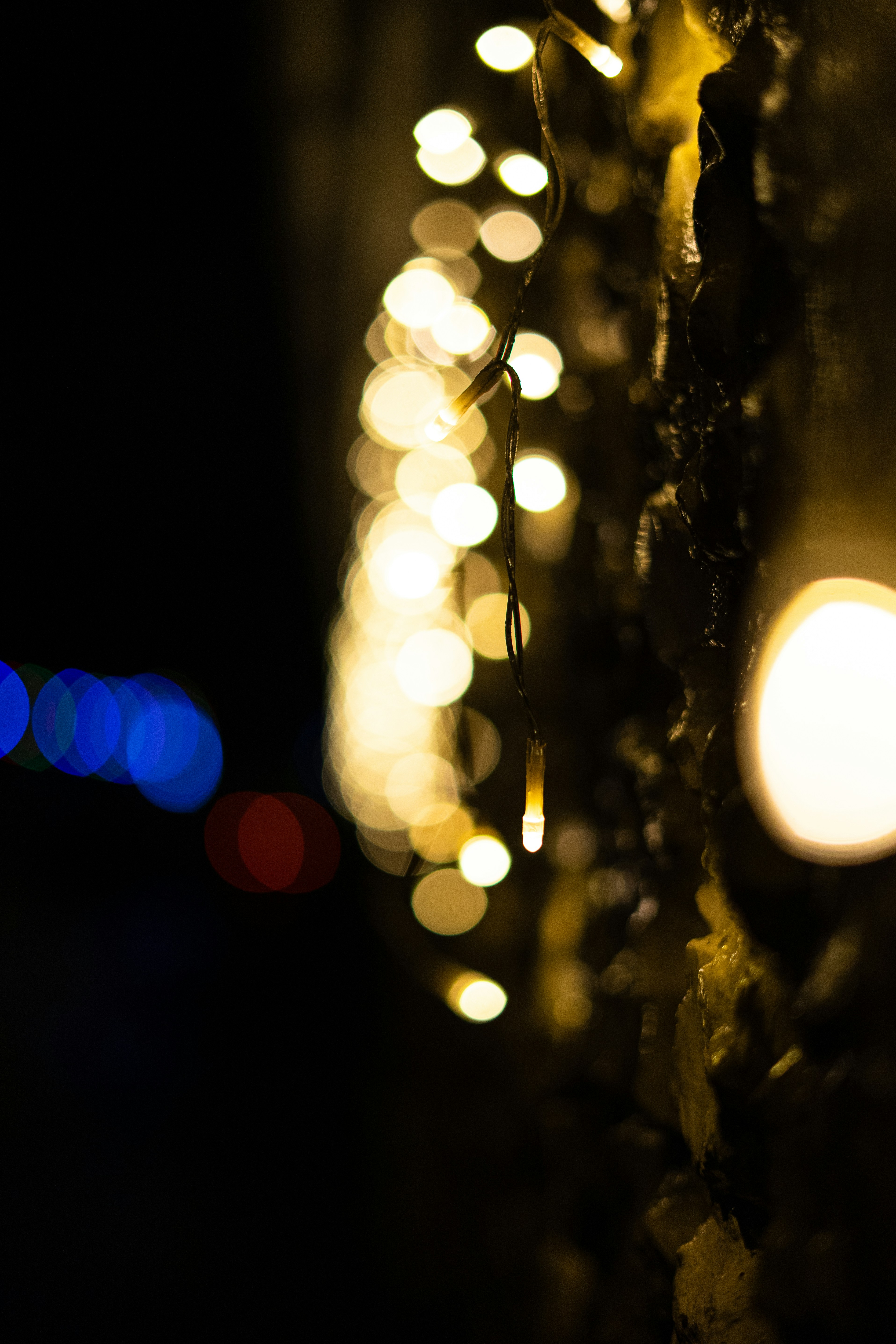 Photo by itsrobcoates