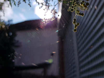 Wide shot of a commercial building exterior with visible spider webs being treated.