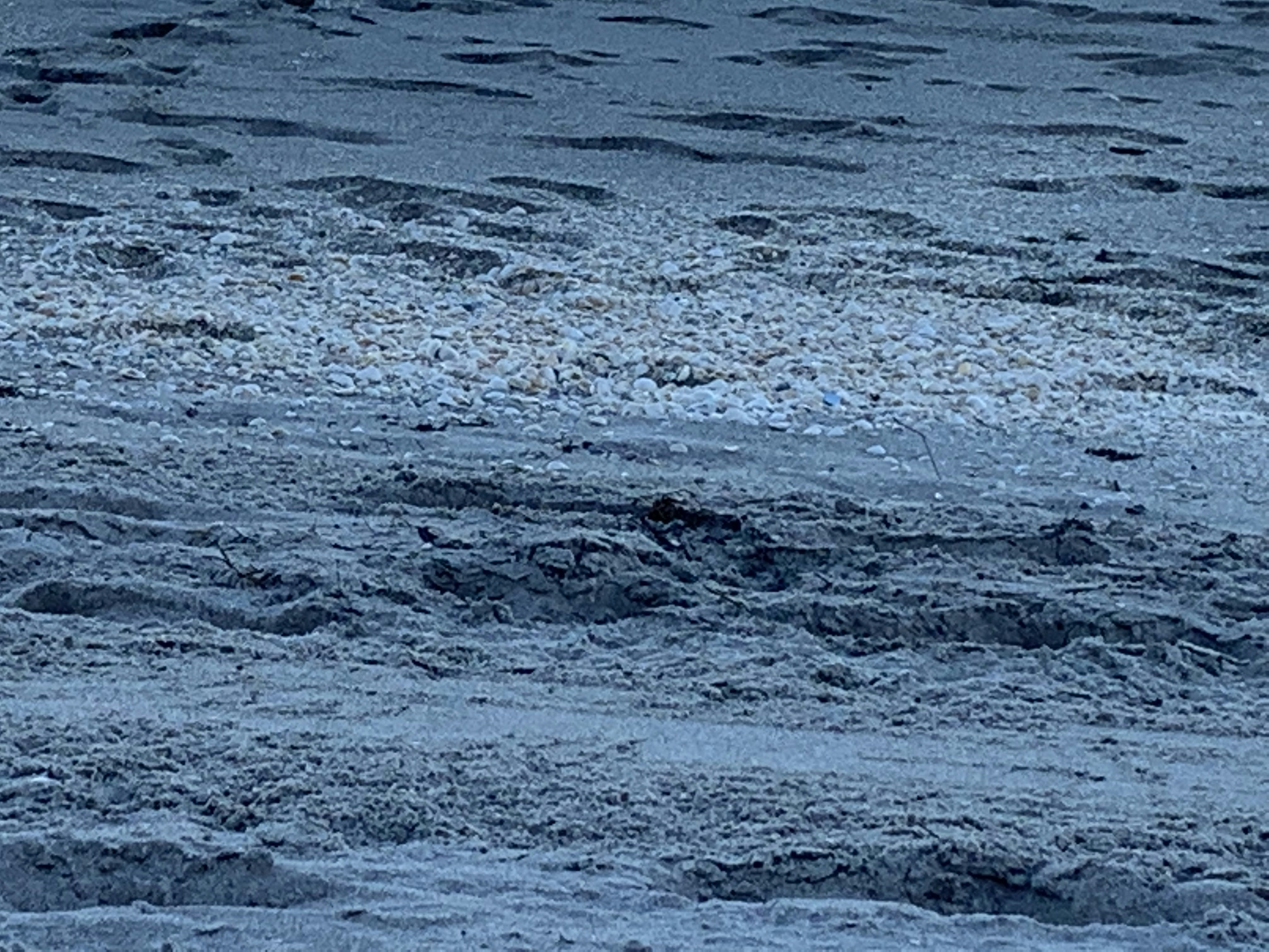 Photo by covershotsphotos