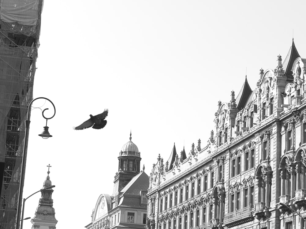 a black and white photo of a bird flying over a building