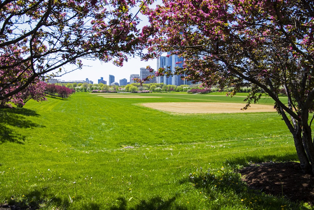 a green field with trees and buildings in the background