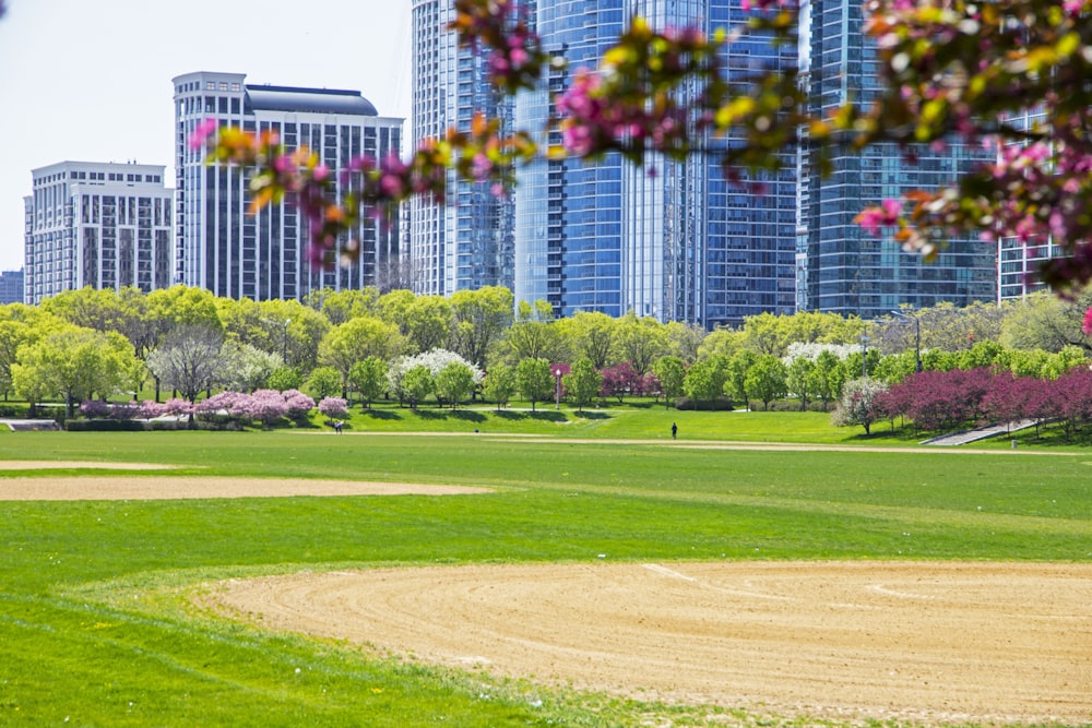 a baseball field in the middle of a city