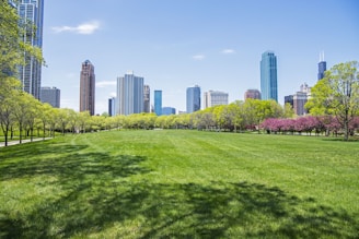 a grassy field with trees and buildings in the background