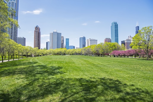 a grassy field with trees and buildings in the background