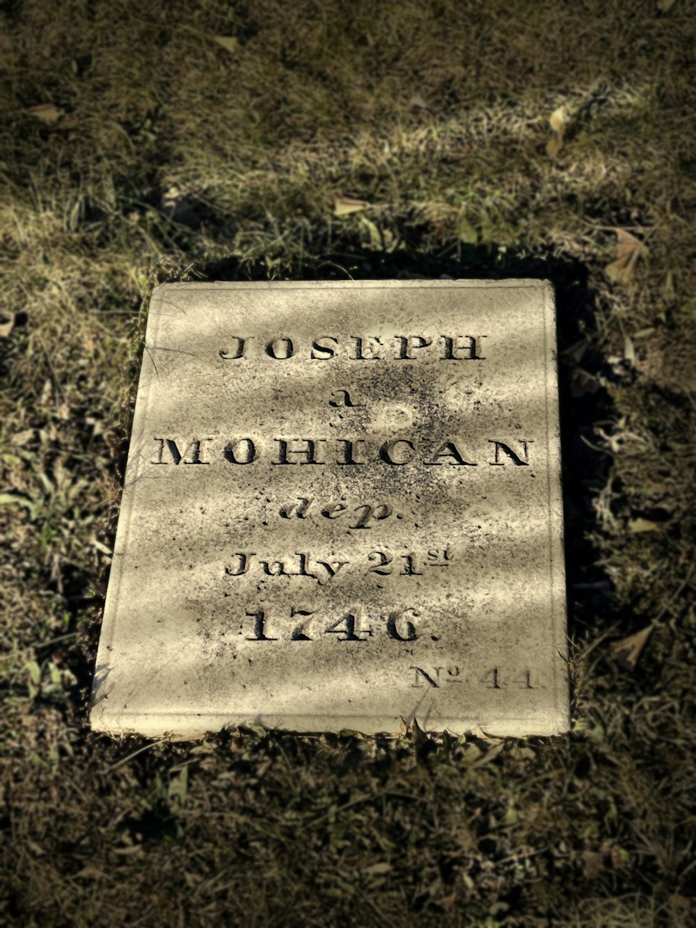 a close up of text on a wooden bench sitting in the grass