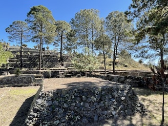 Colorful terraces and stone pathways of the Sacred Valley under a bright blue sky.