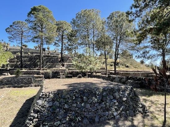 Colorful terraces and stone pathways of the Sacred Valley under a bright blue sky.