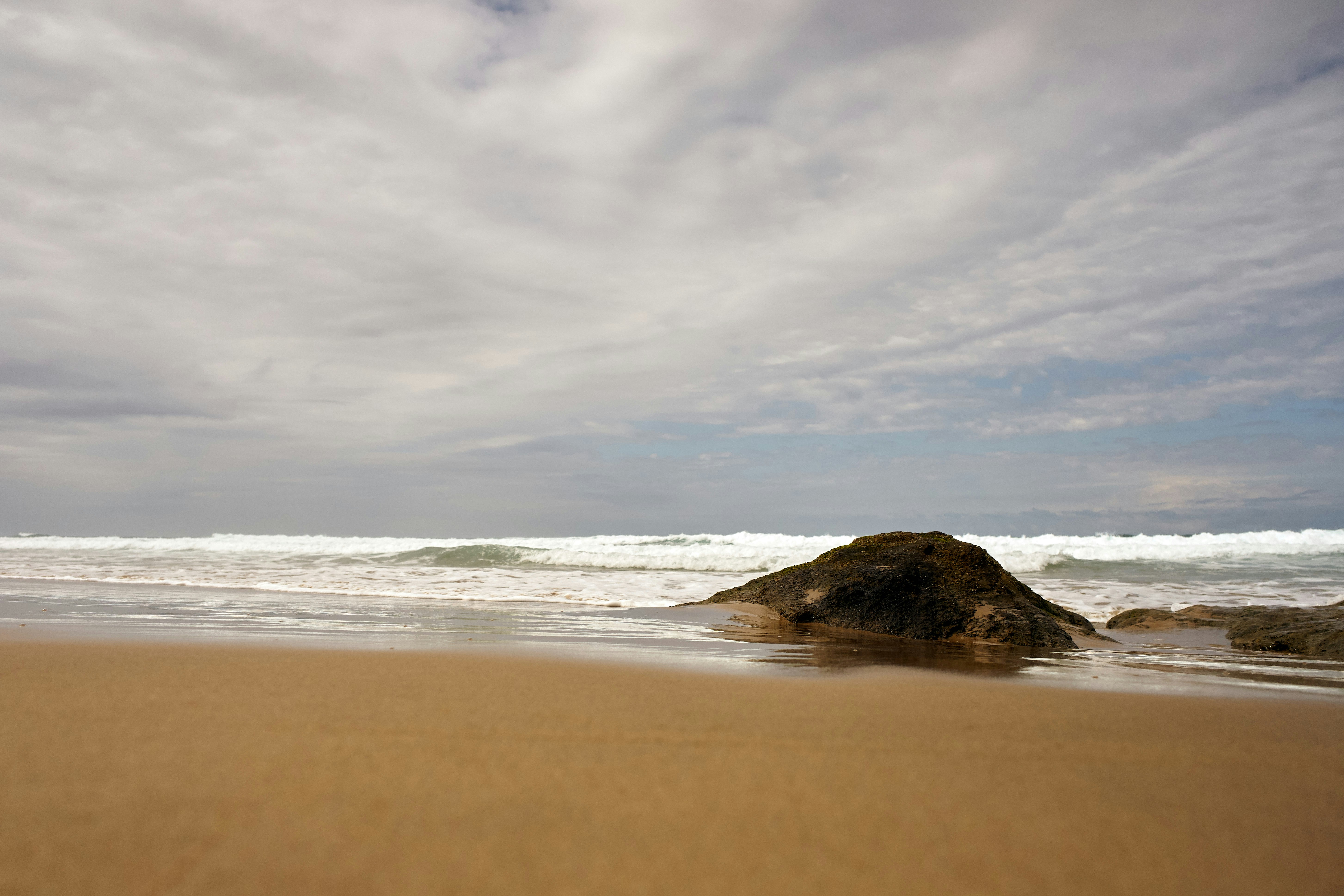 Photo by wolfgang_hasselmann