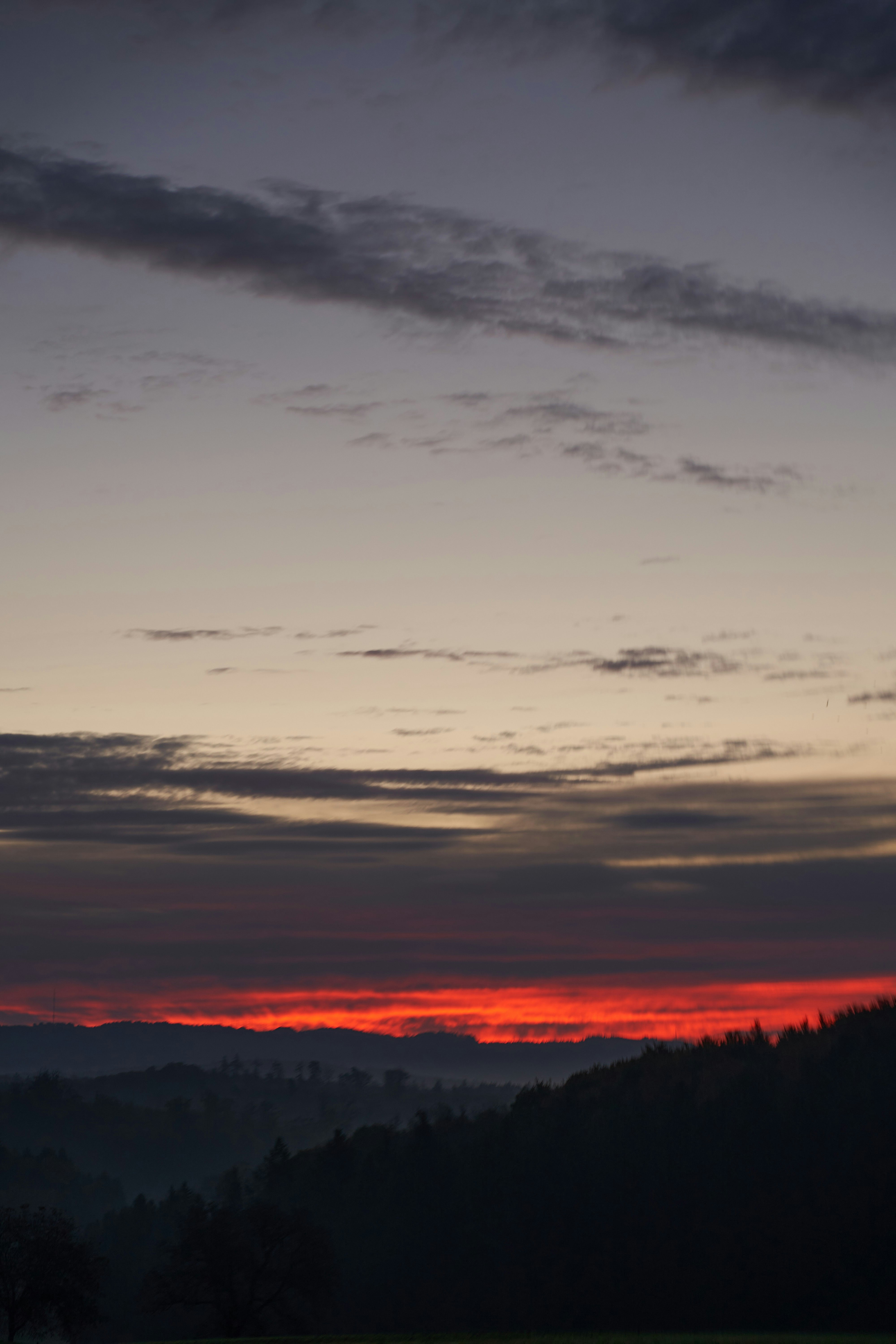 Photo by wolfgang_hasselmann