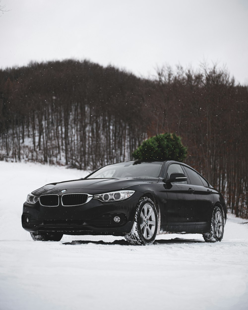 Un'auto nera con sopra un albero di Natale