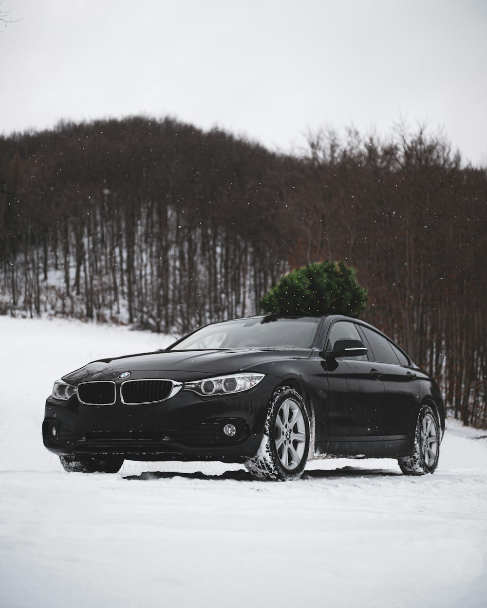 Un coche negro con un árbol de Navidad encima