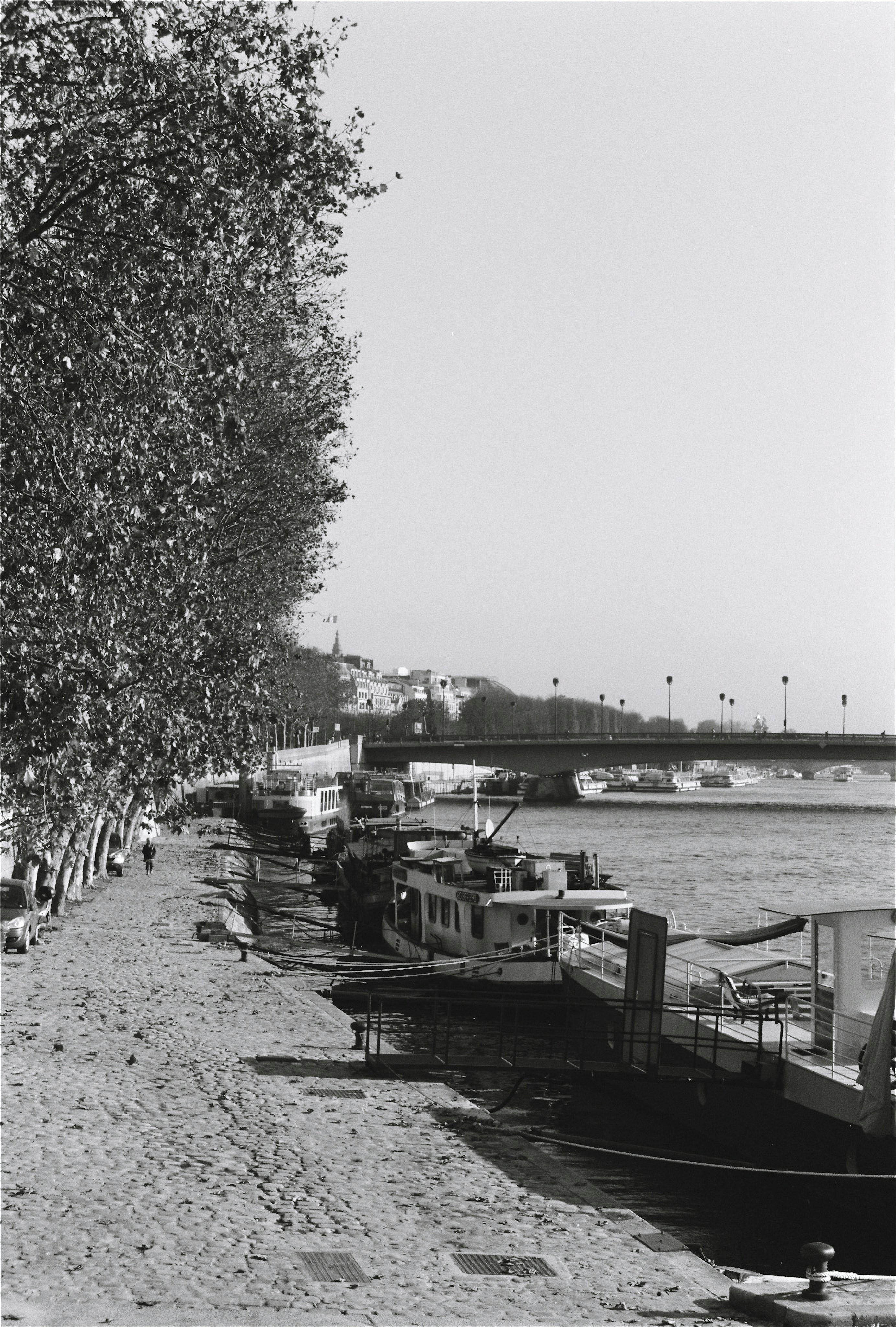 Photo by carmelabehindcamera