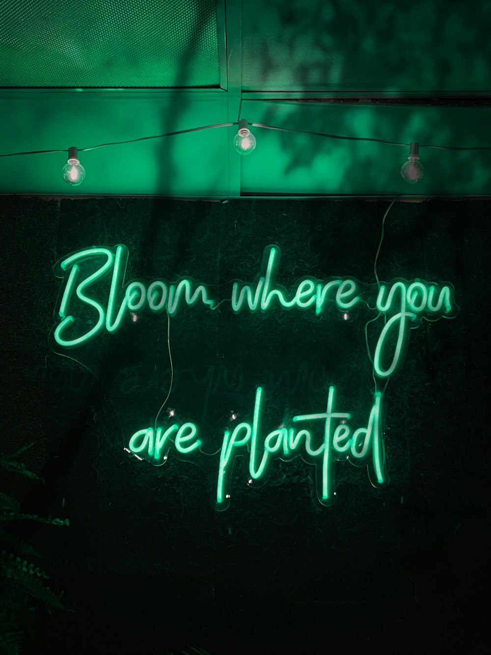 a neon sign that says bloom where you are planted