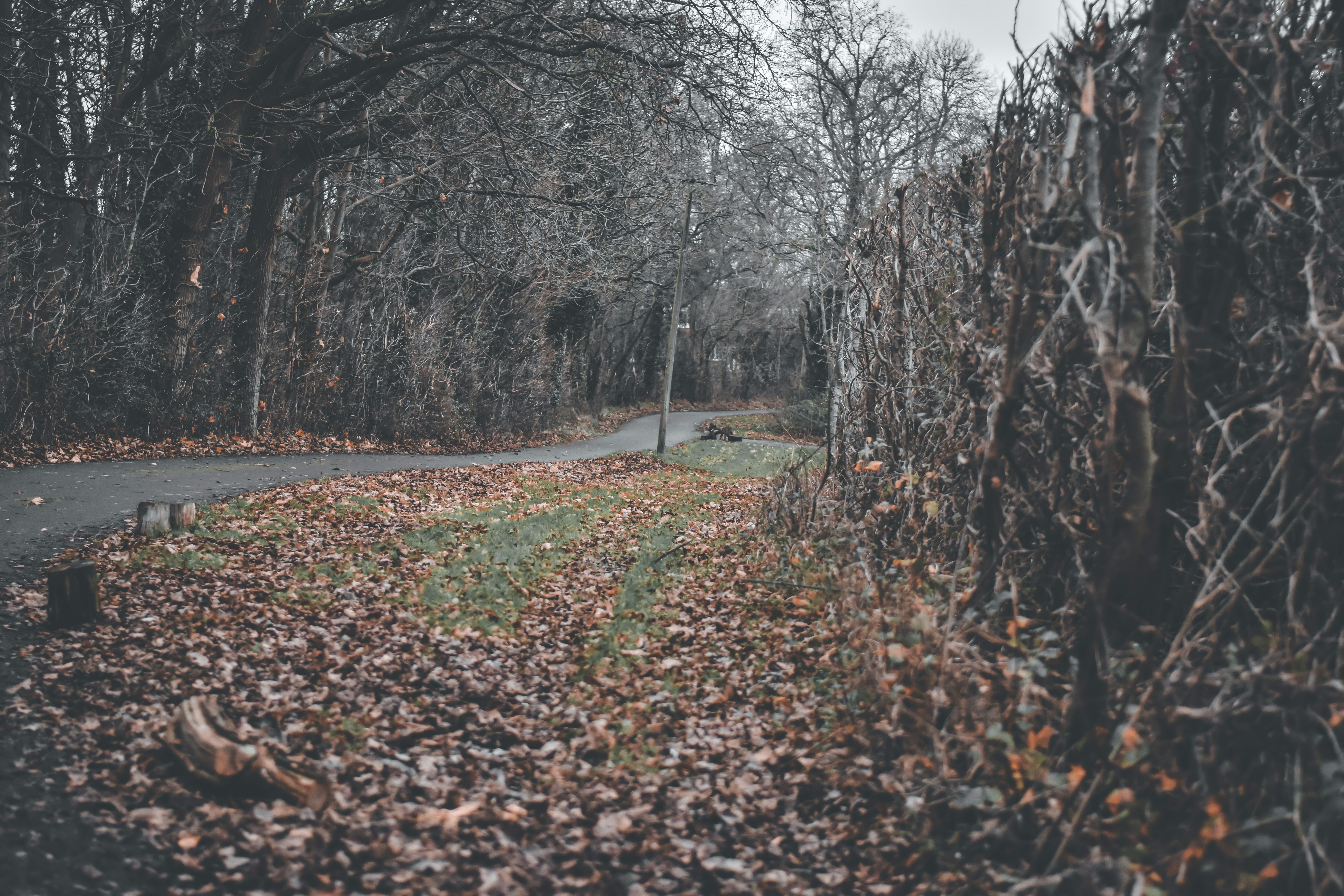 Photo by elliottmason