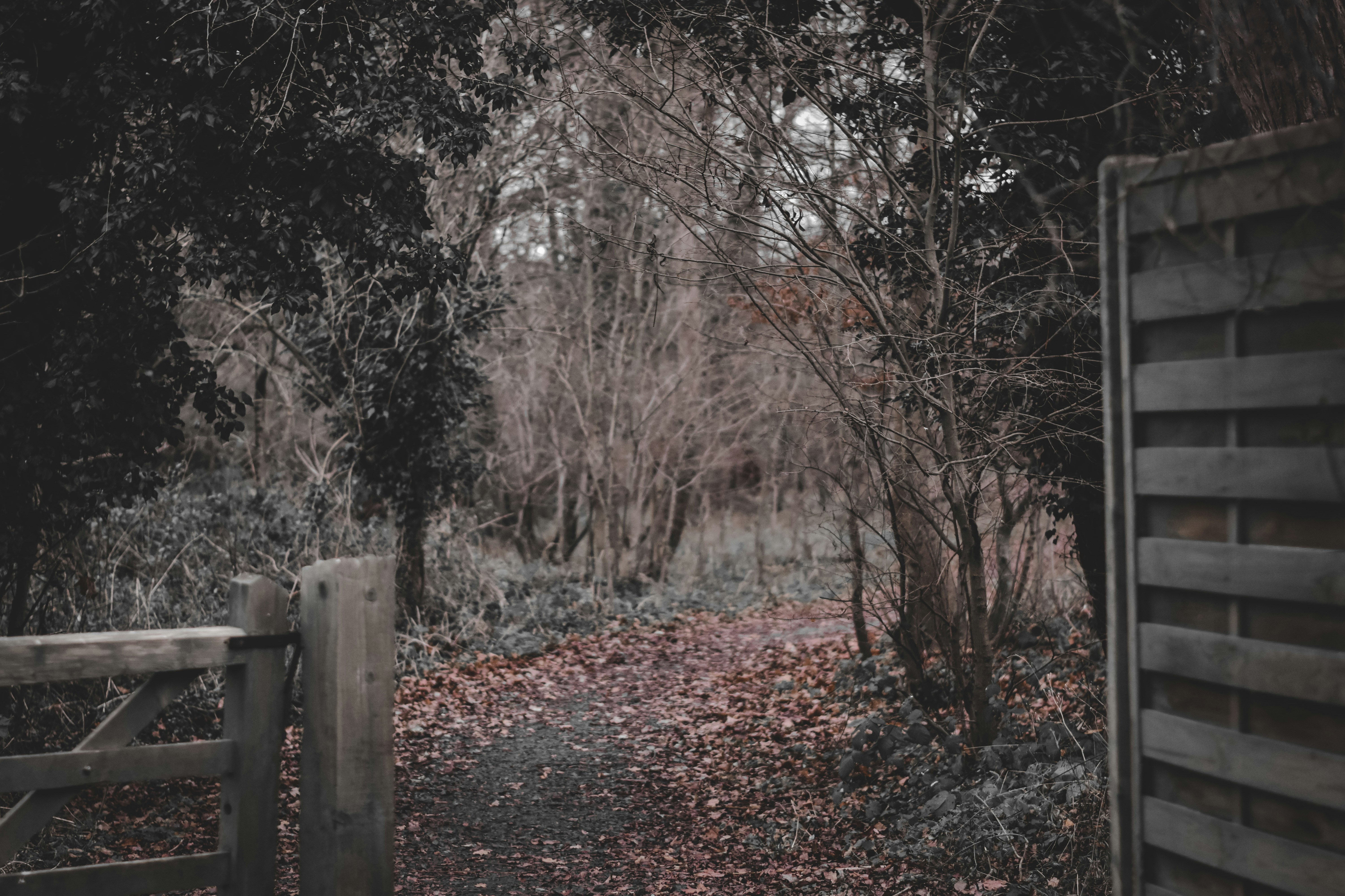 Photo by elliottmason