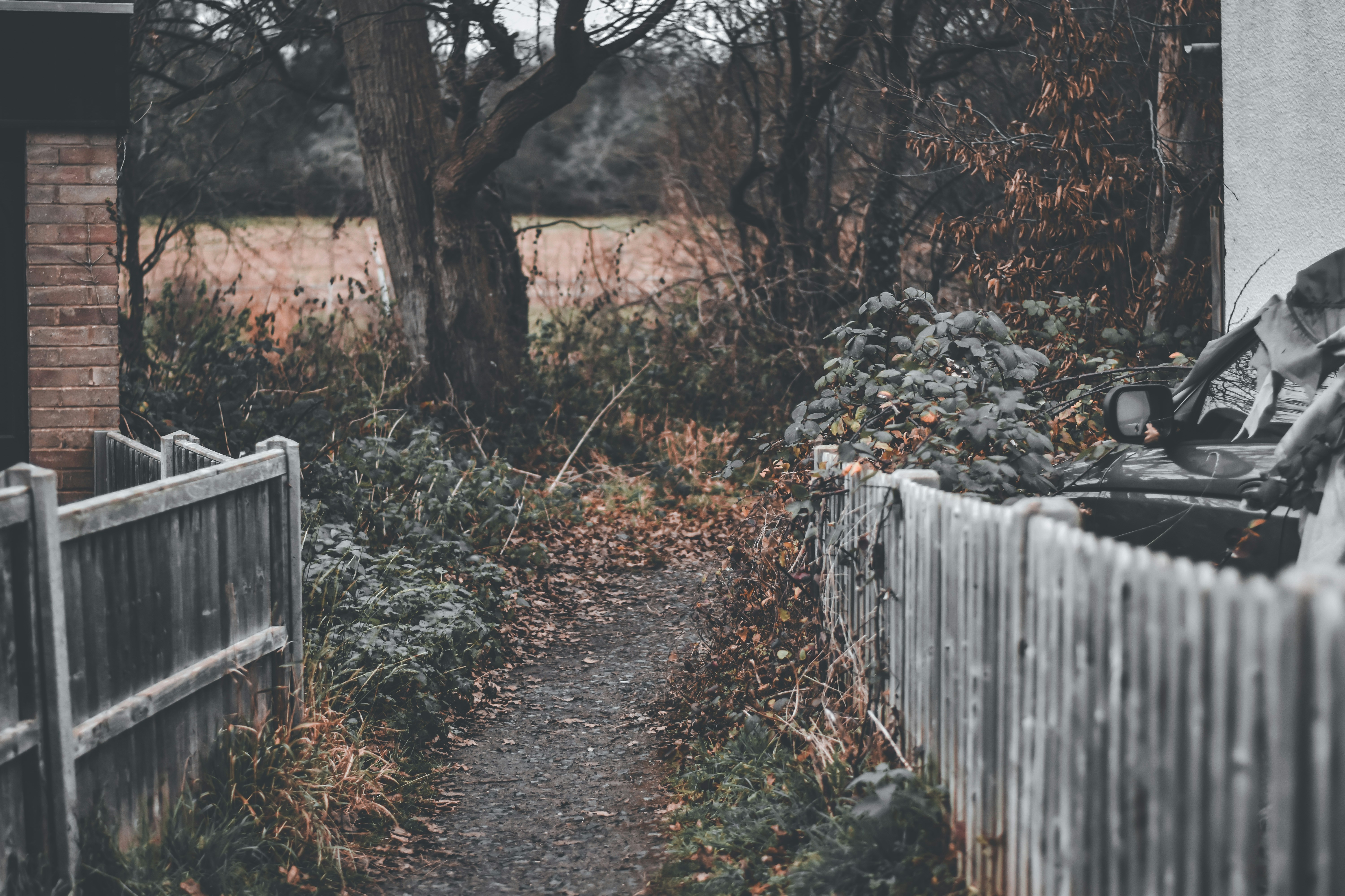 Photo by elliottmason