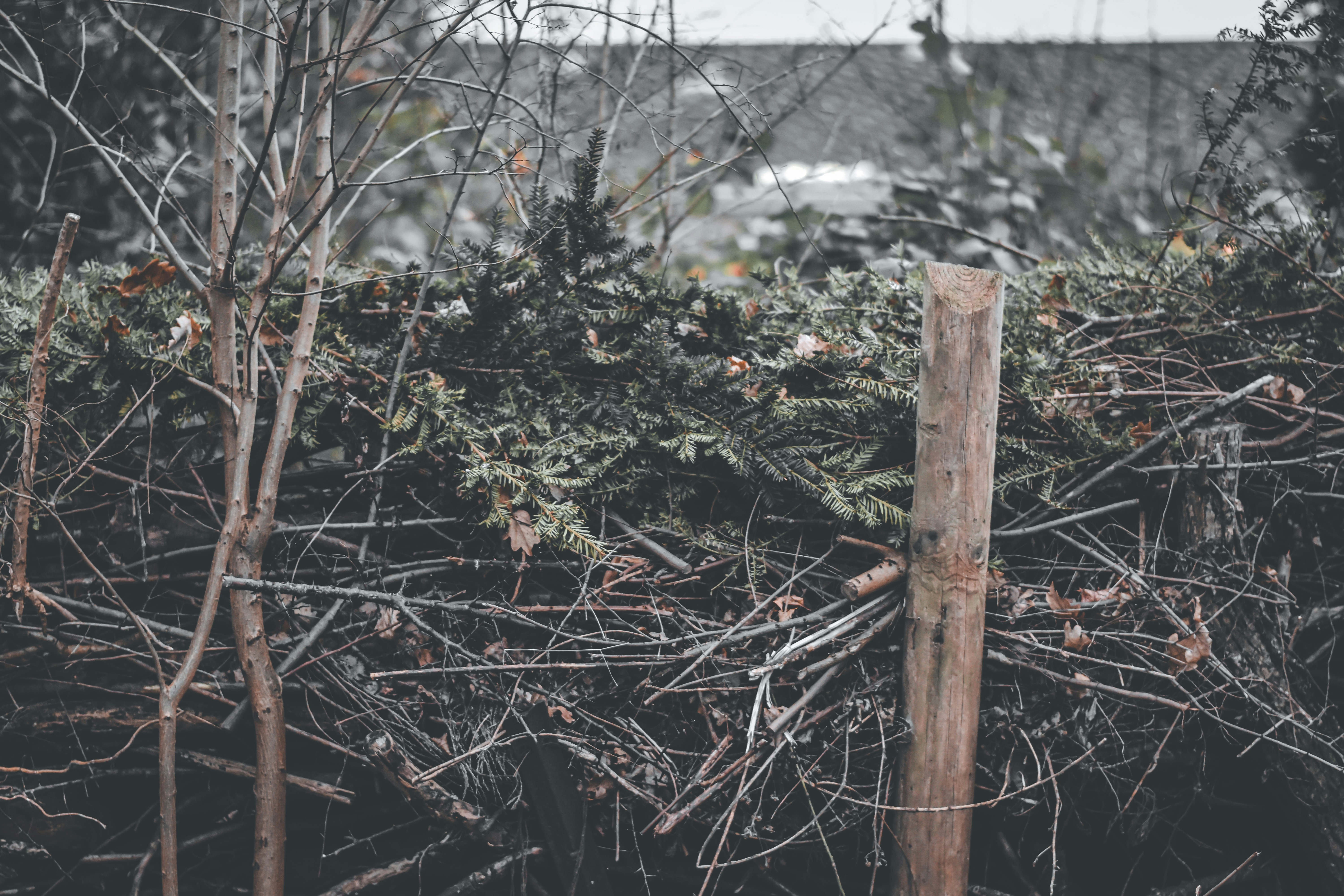 Photo by elliottmason