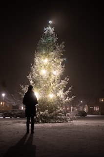 a person standing in front of a christmas tree