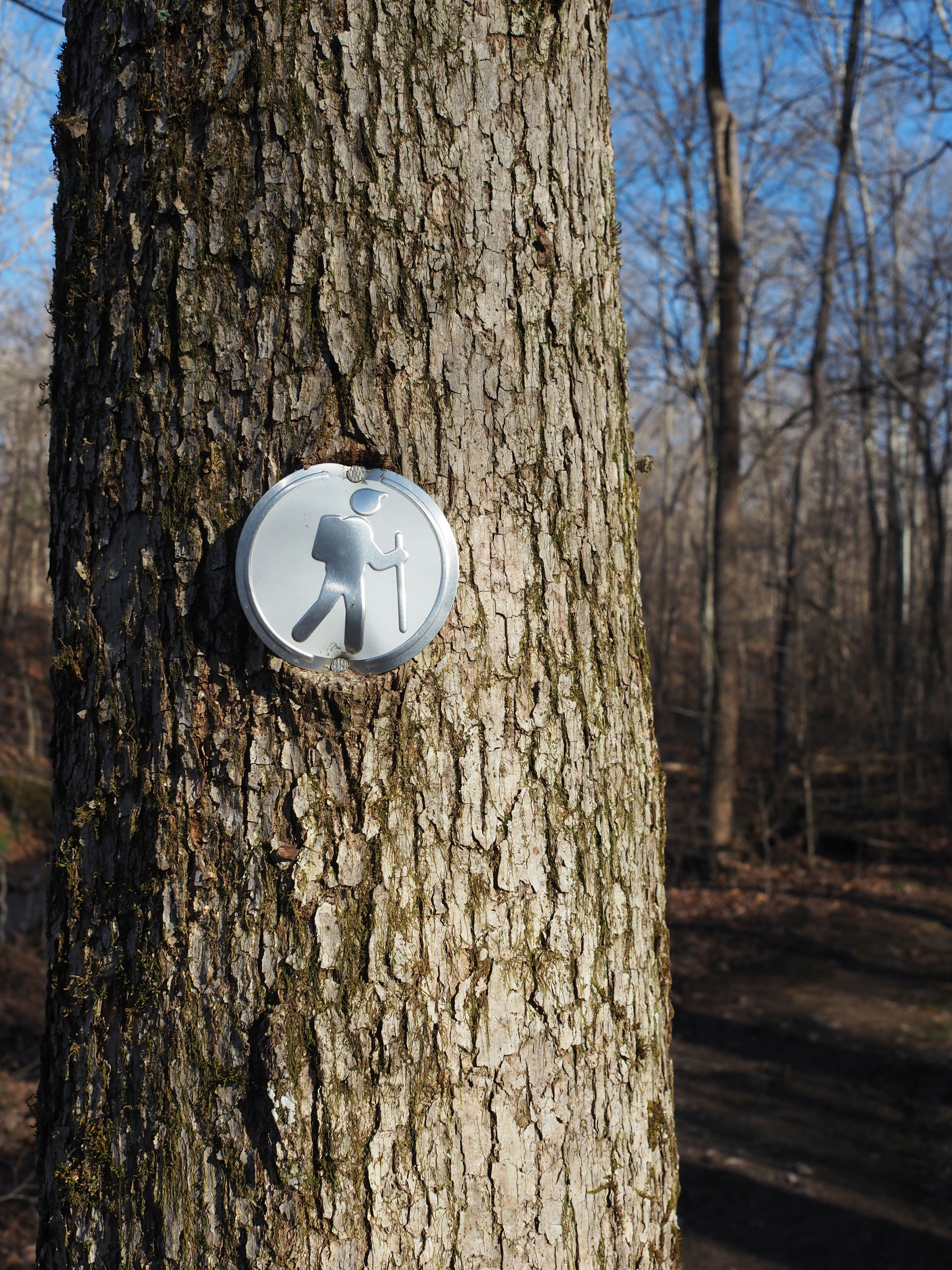 Photo by fieldworkframes