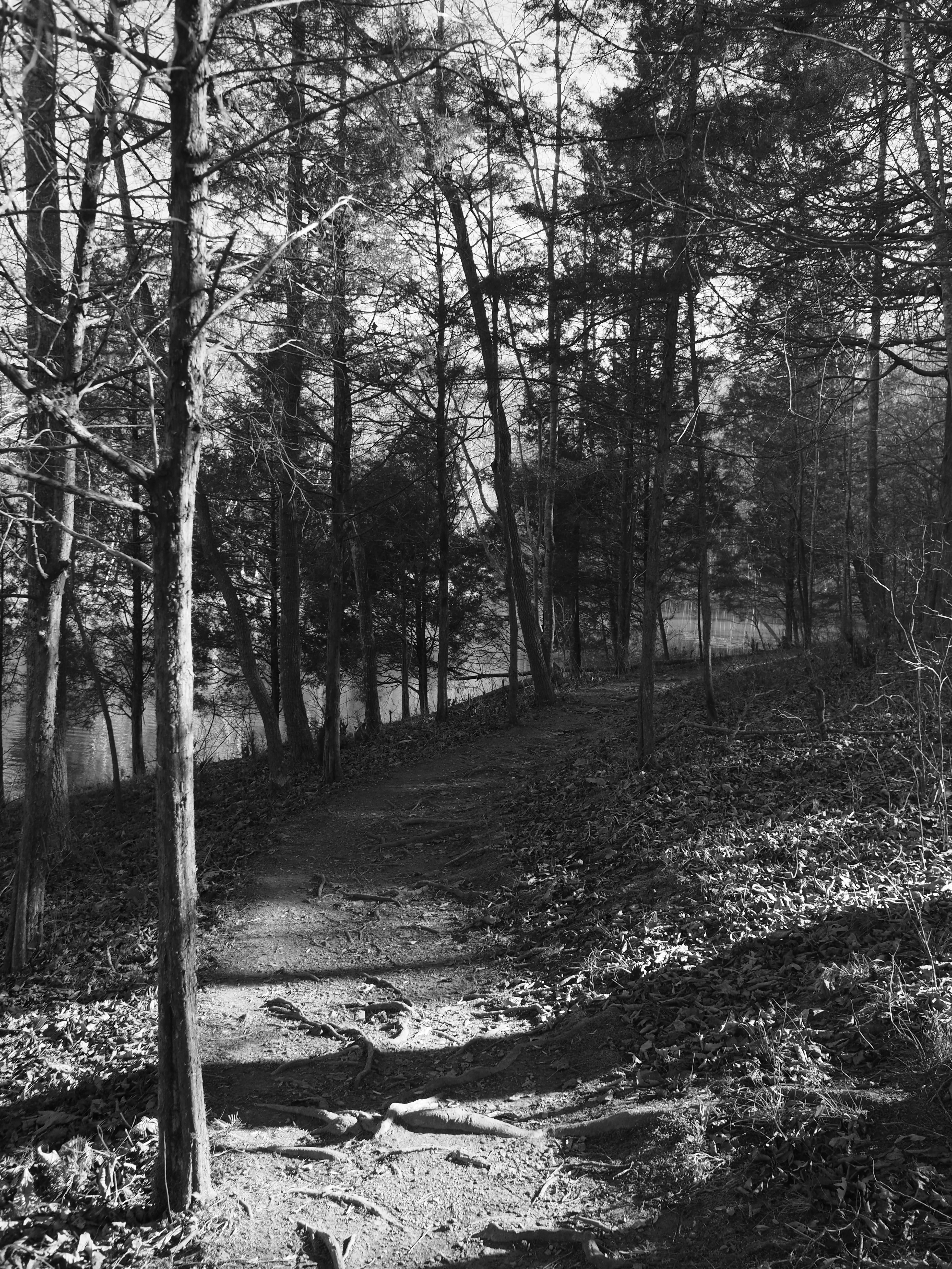 Photo by fieldworkframes