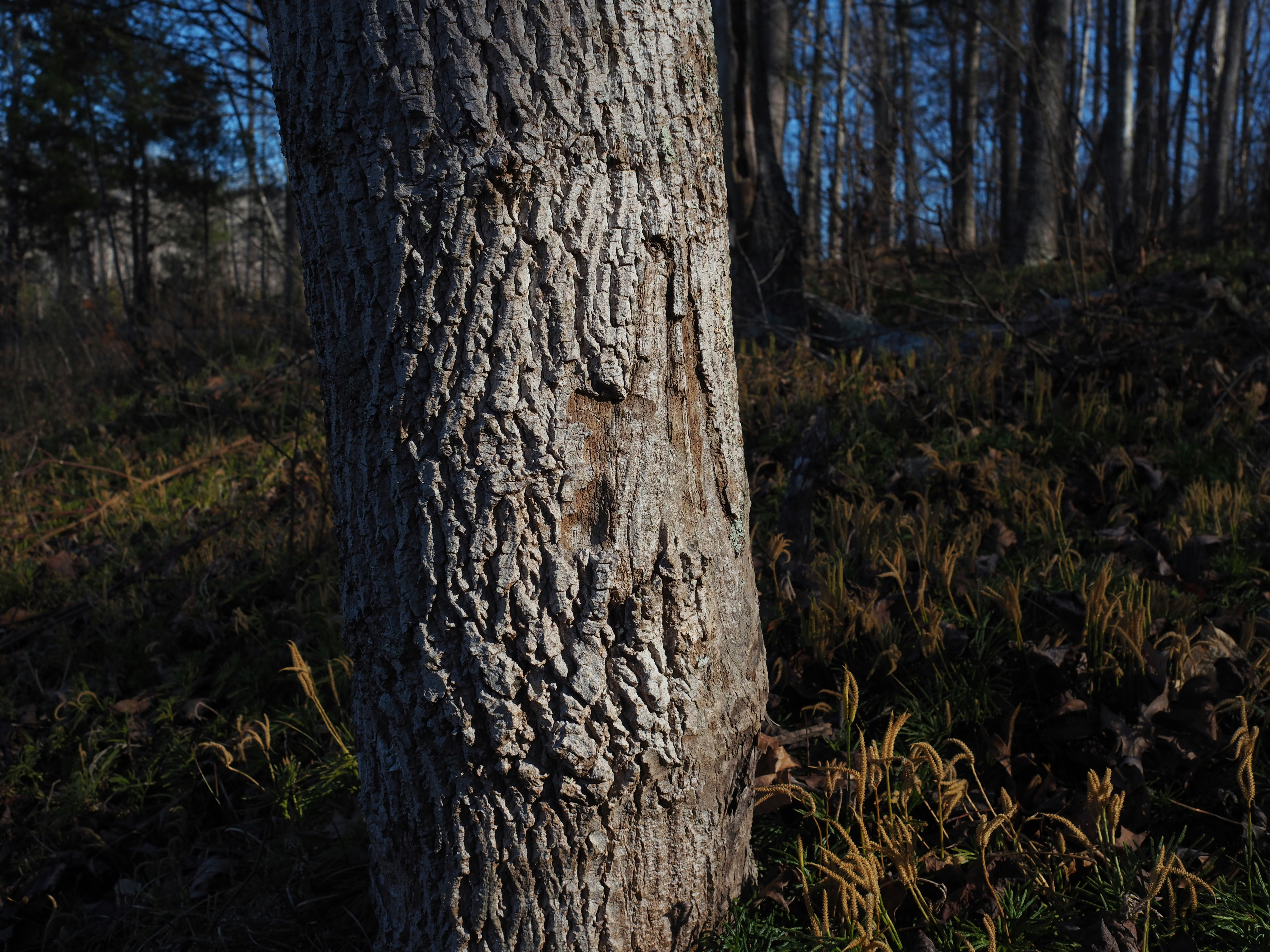 Photo by fieldworkframes