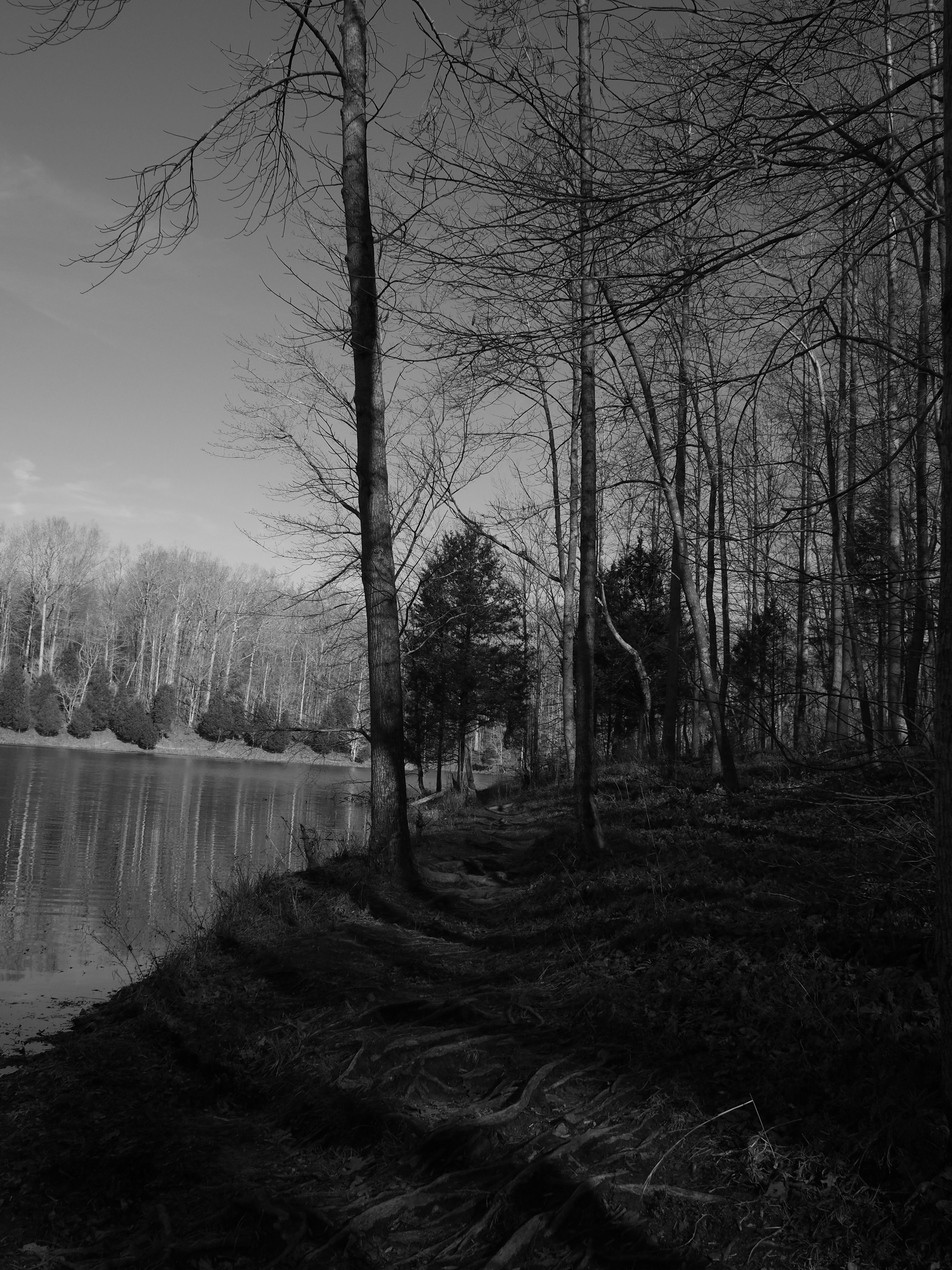 Photo by fieldworkframes