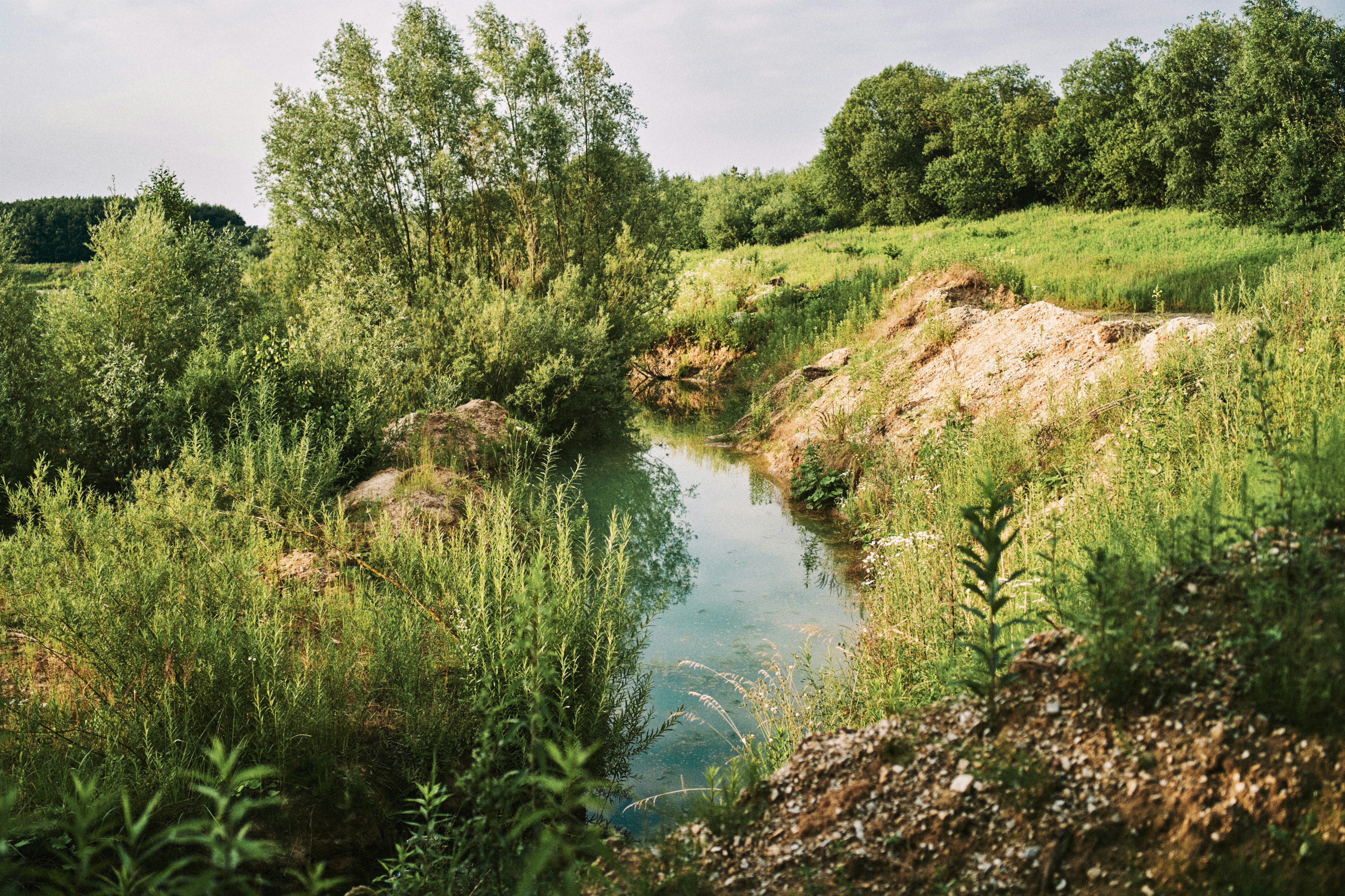 Costa Rica in August