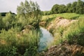 a river running through a lush green forest