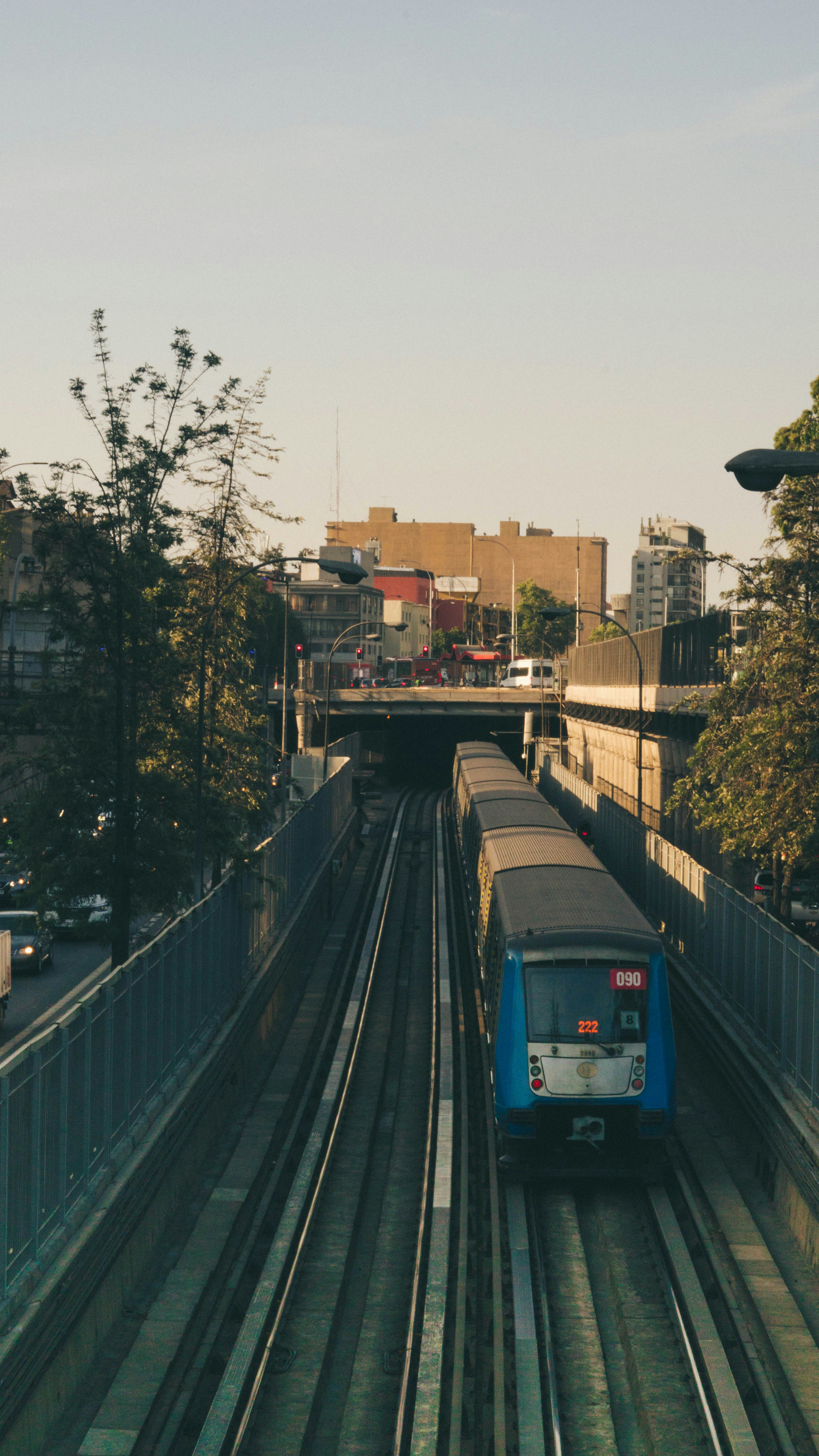 Photo by gustavo0351