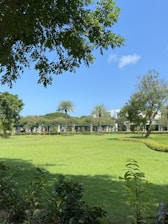 A lush garden with freshly installed natural grass and vibrant flowers under a clear sky.