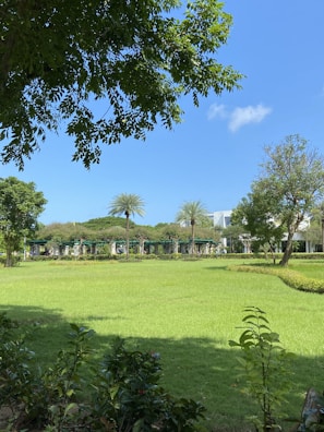 A lush residential garden with manicured grass and flowering plants under a clear blue sky.