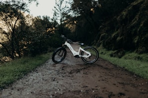 A white electric bike is parked on a muddy, forested trail. The path is surrounded by lush green vegetation and trees, with a peaceful, natural ambiance. The bike is positioned at an angle, highlighting its modern design and thick tires, suitable for off-road journeys.