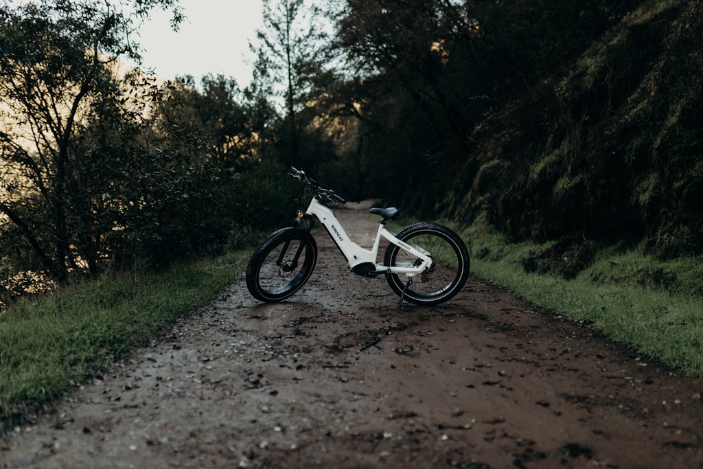 Trail X