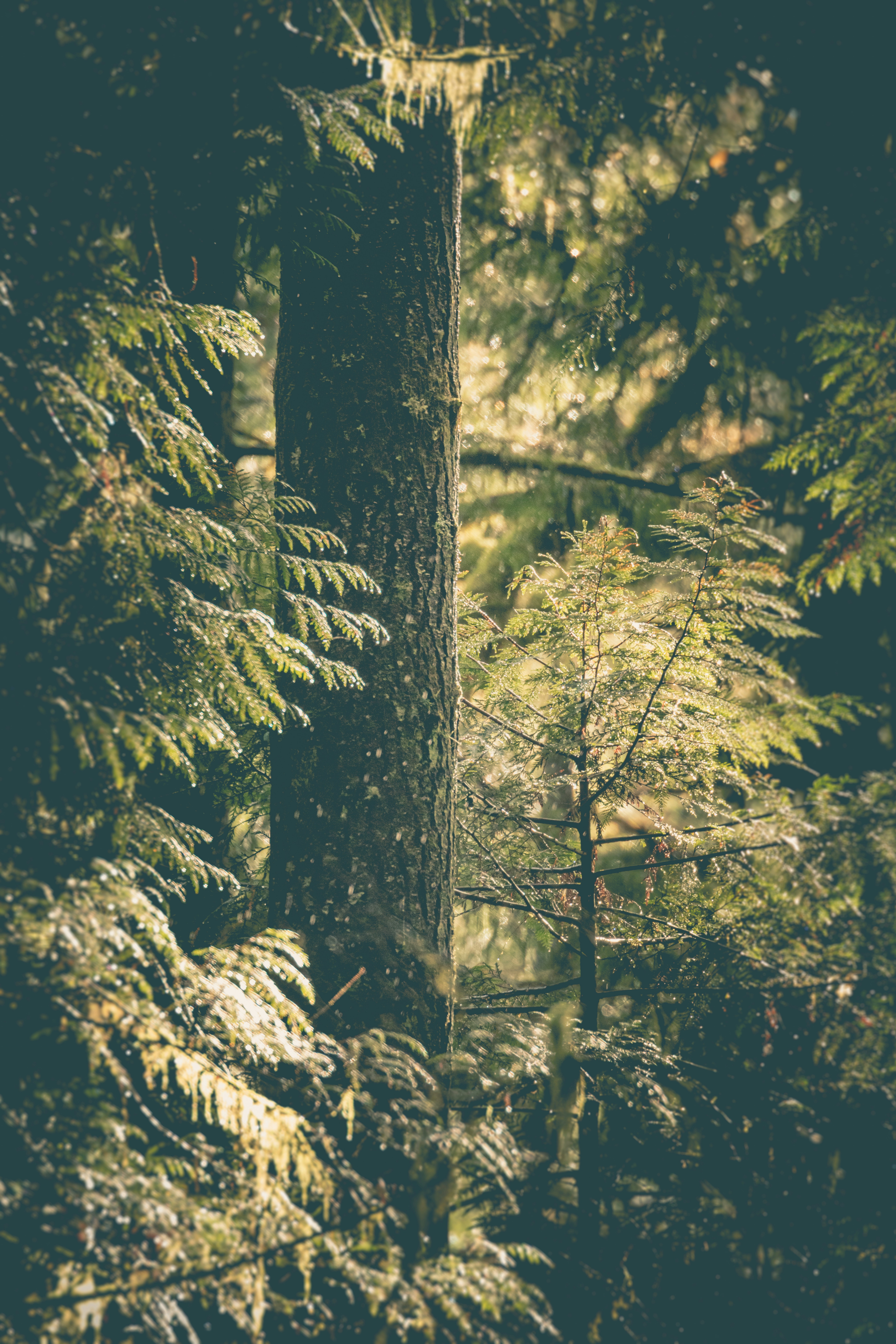 Photo by worldsbetweenlines