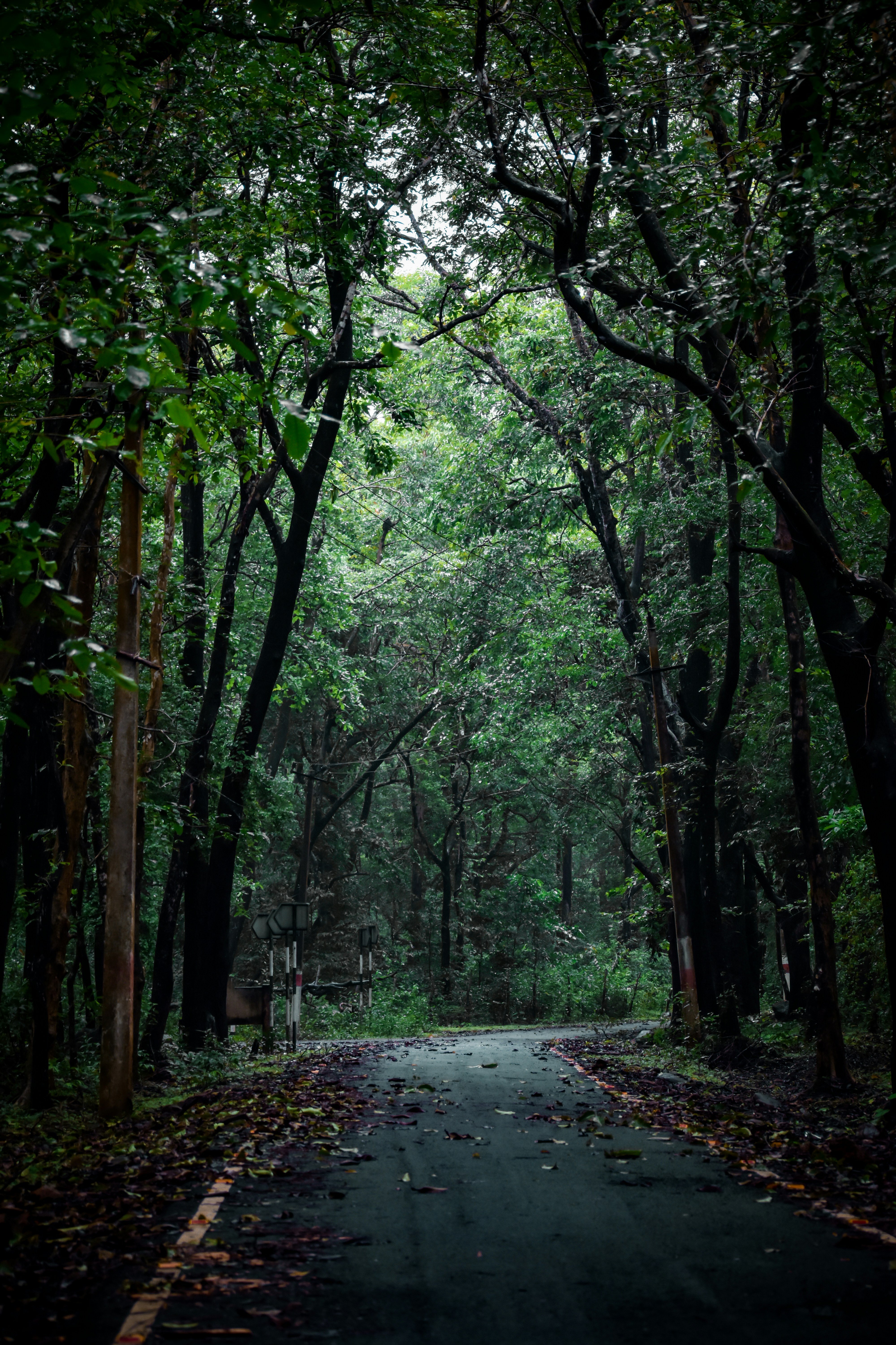 Photo by aditya_ghodke