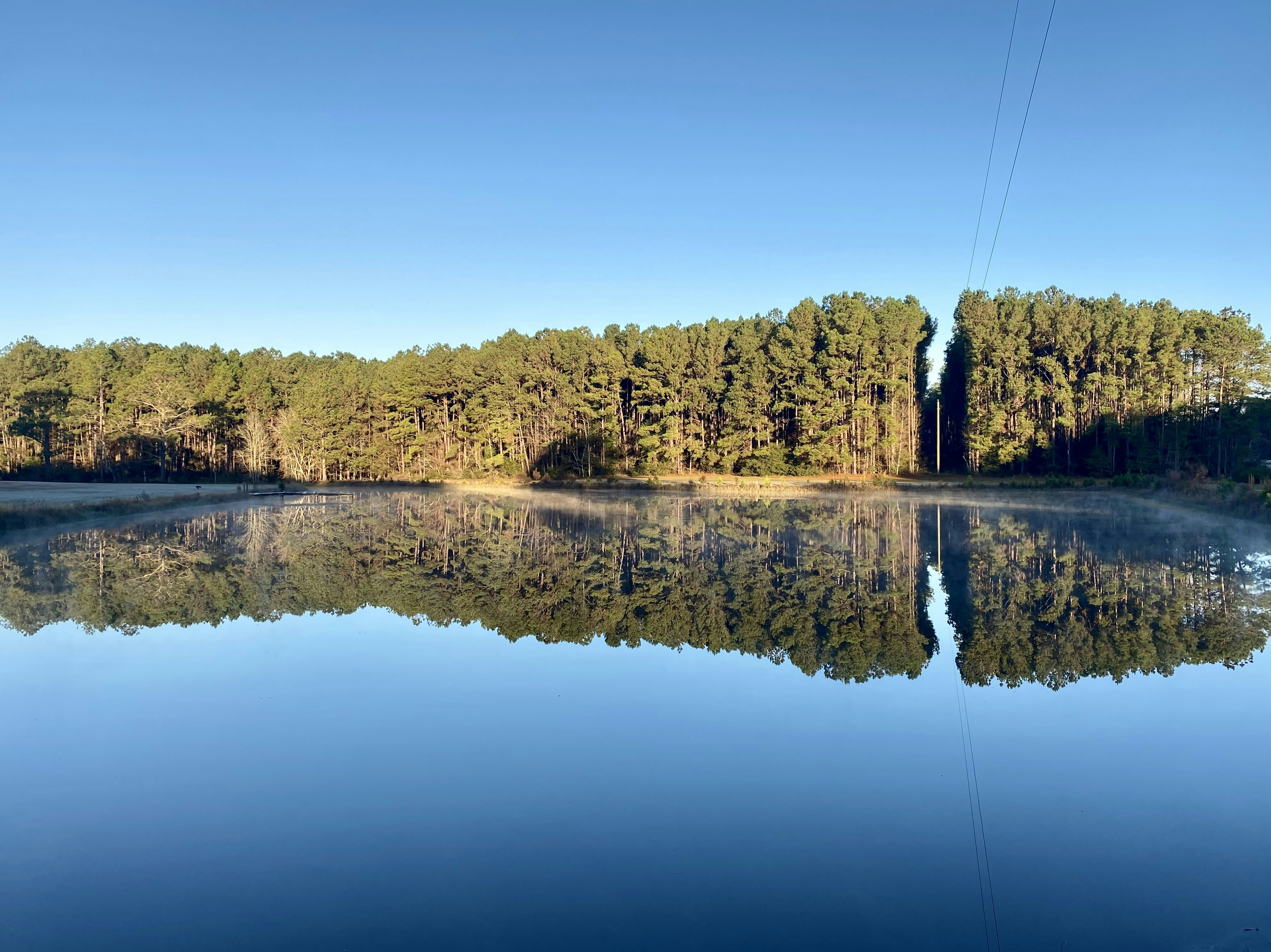 Photo by tetovilardo