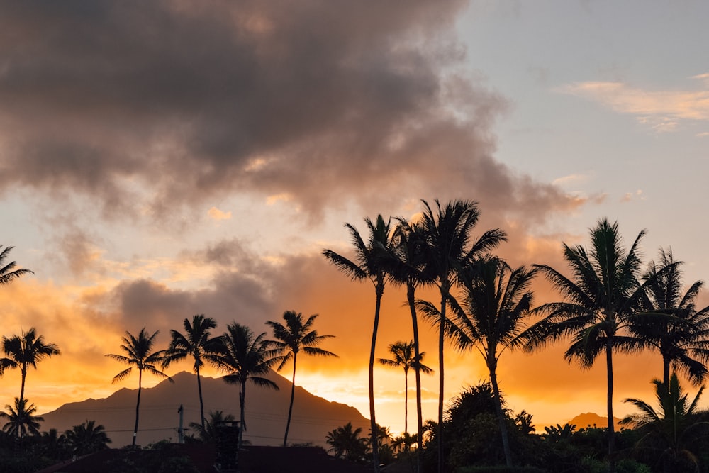 a sunset with palm trees and a mountain in the background