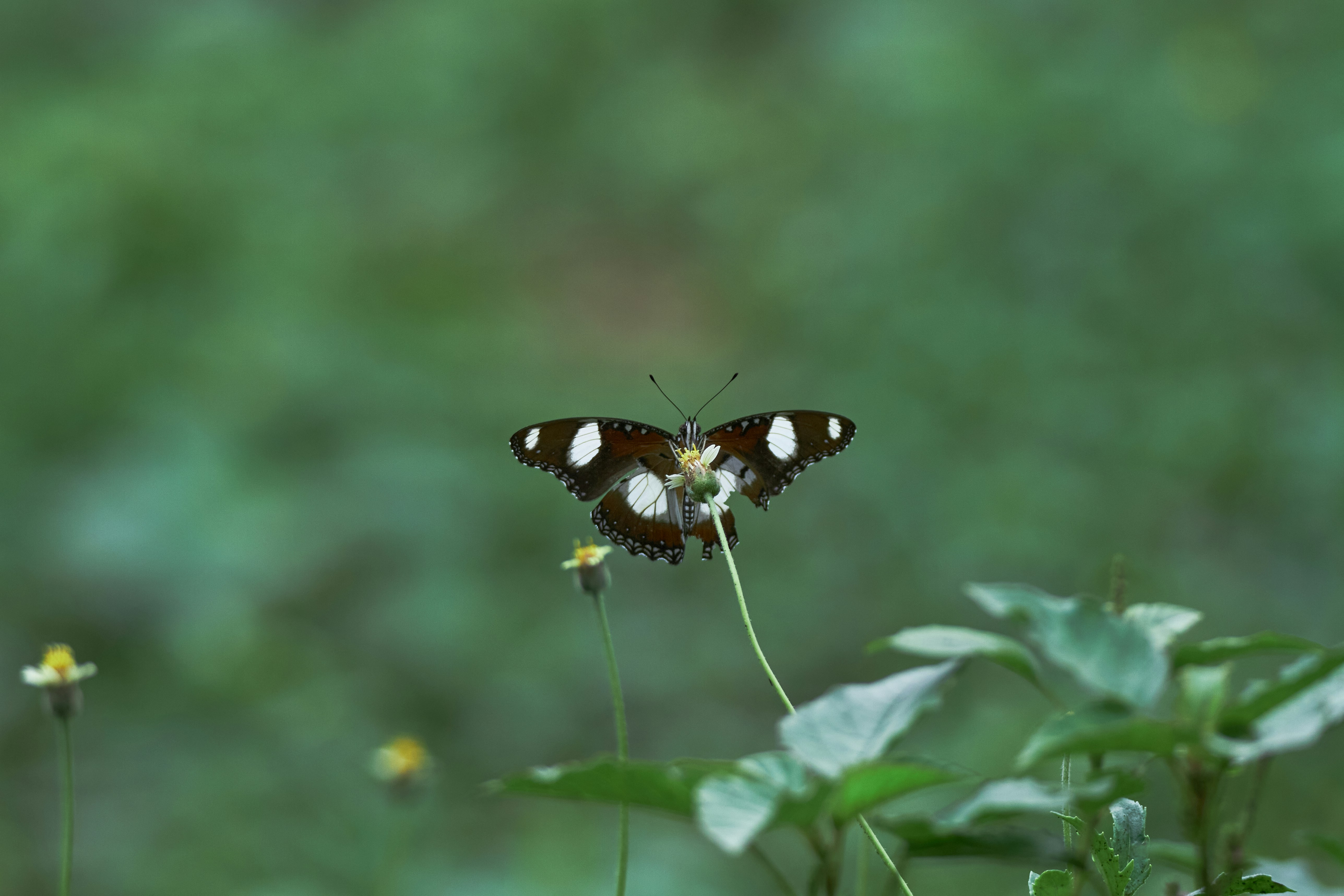 Photo by aychoklate