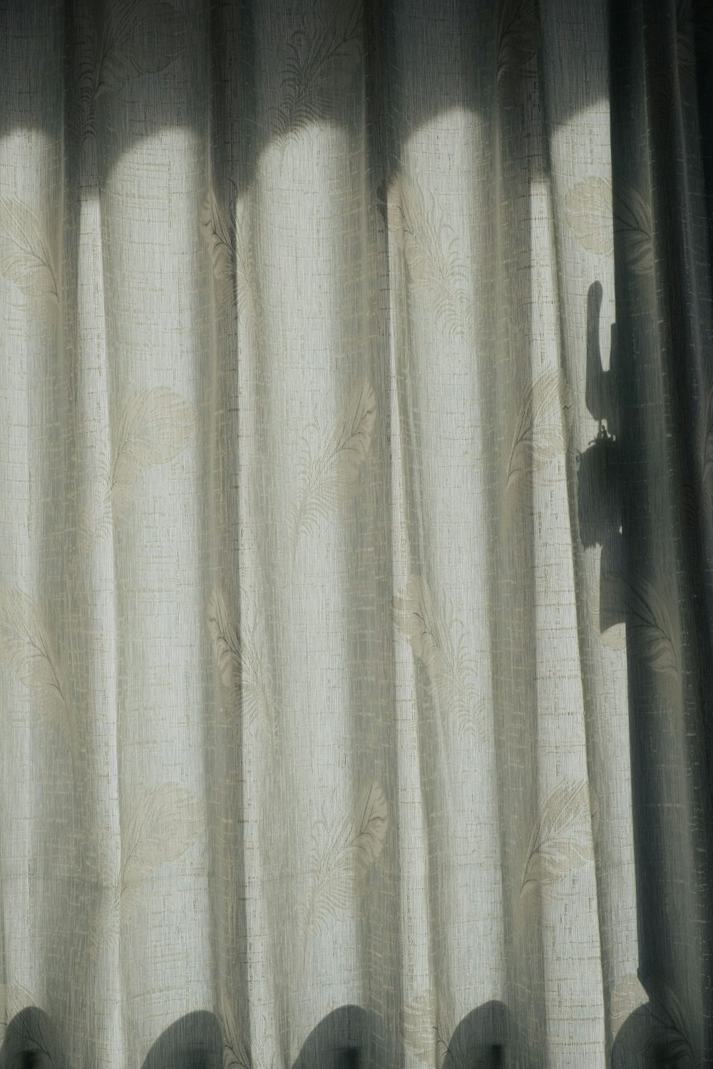 Der Schatten eines Vorhangs auf einem Fenster