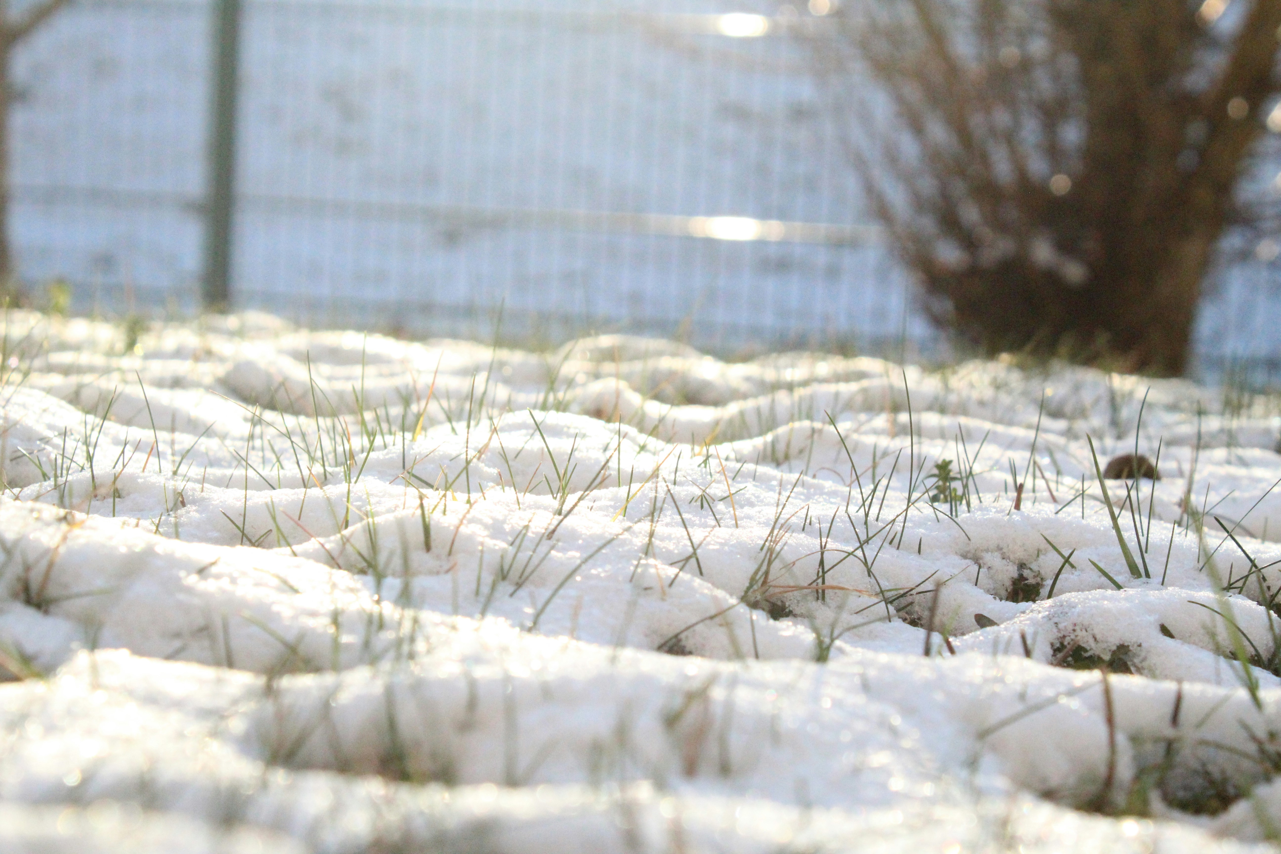 Photo by unknownserenade