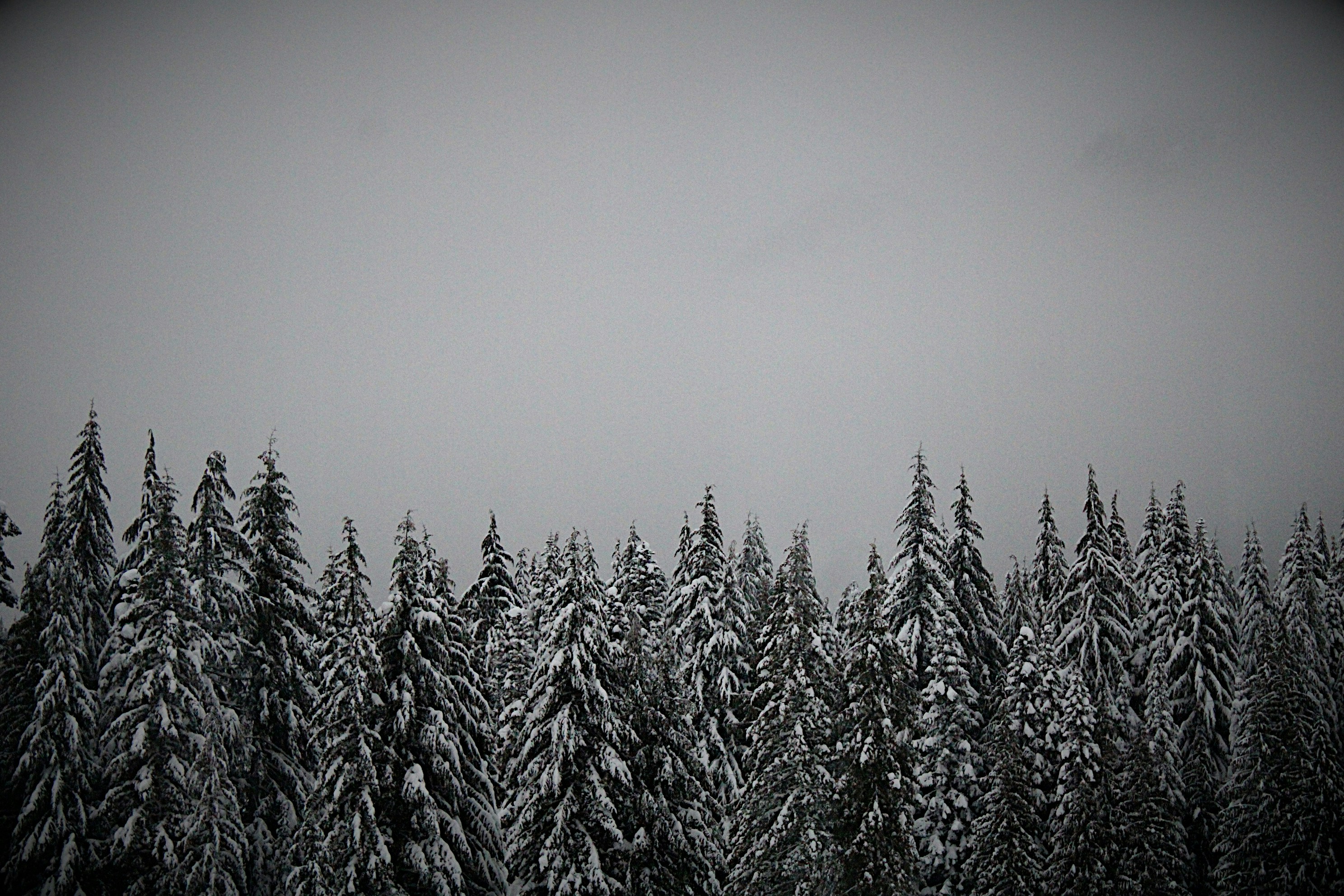 Photo by isaacstevenlind