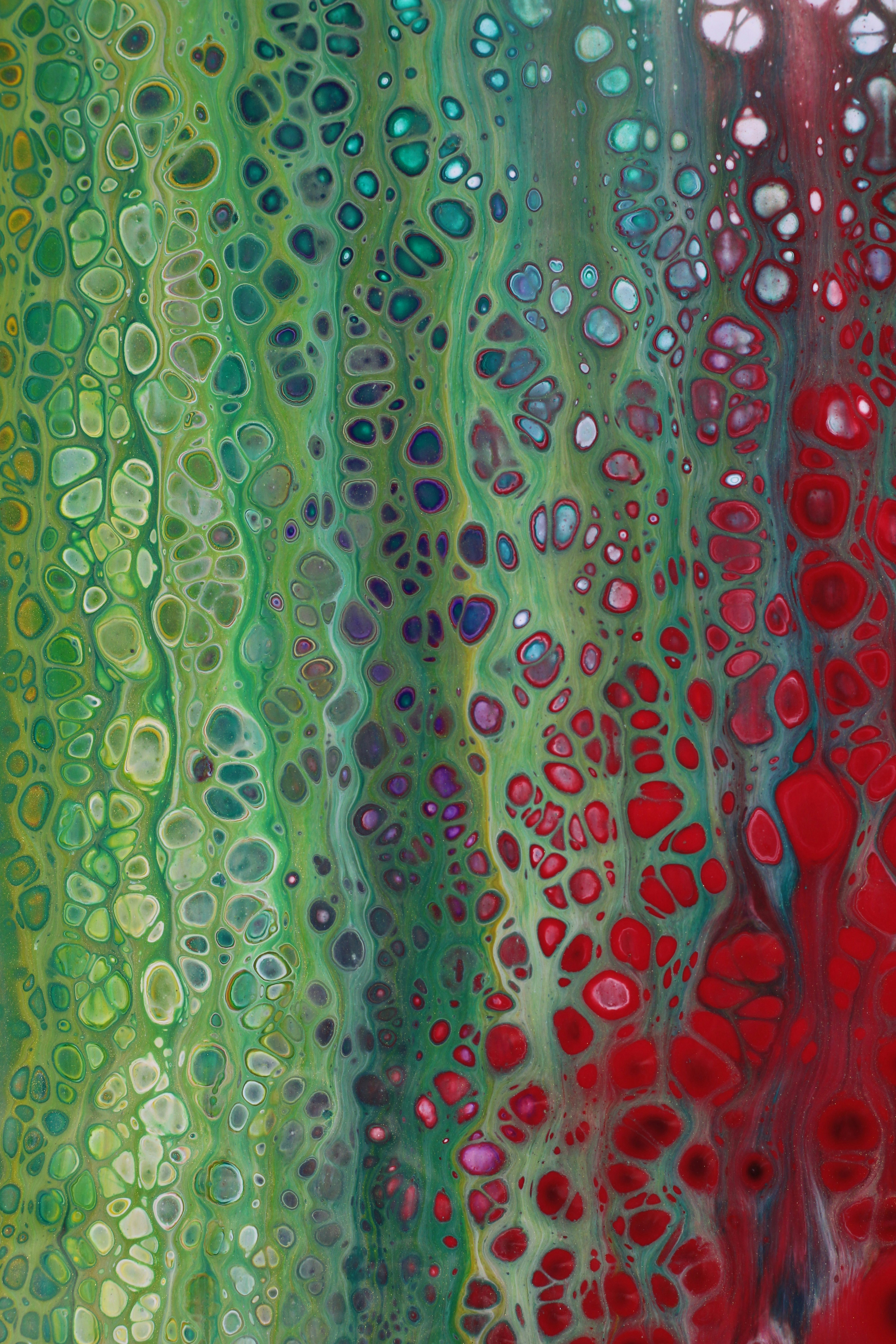 Photo by susan_wilkinson