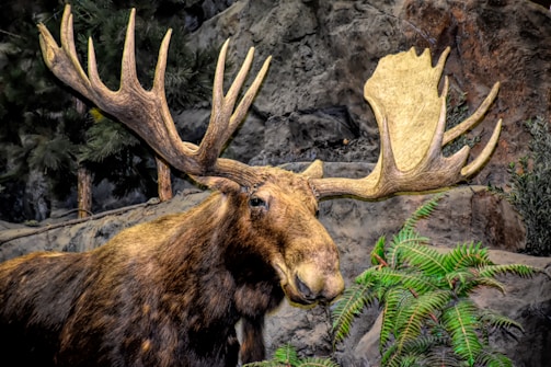 A traditional atikluk displayed on a wooden stand with natural Alaskan backdrop.