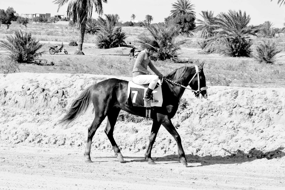 a man riding on the back of a brown horse