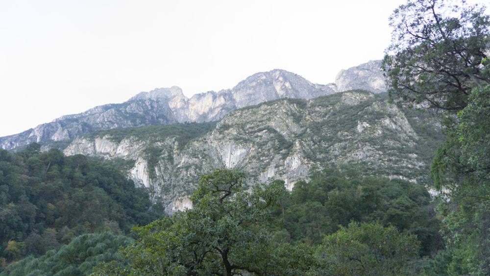 a view of a mountain range with trees in the foreground