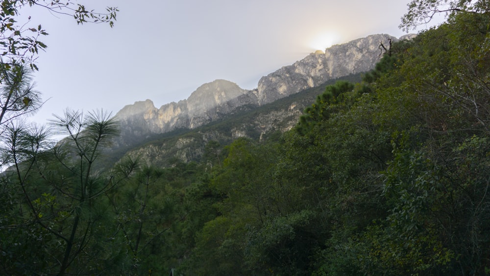 the sun shines on the mountains in the distance