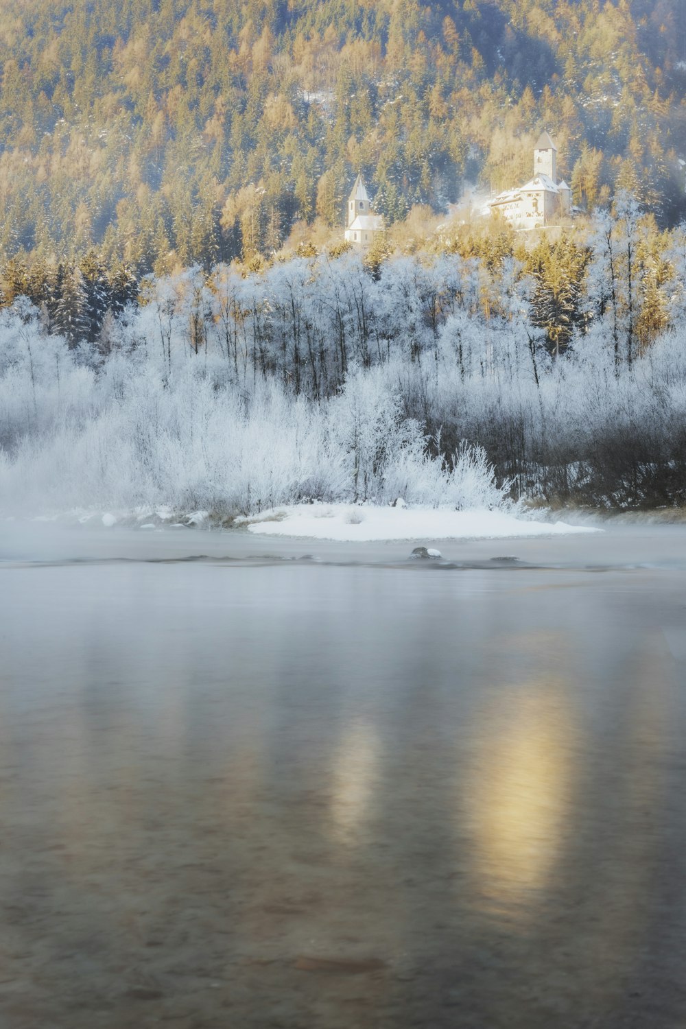 a body of water with trees in the background